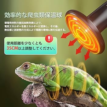 Amazon.co.jp: 2灯式爬虫類ライト電球ソケットと100W保温電球
